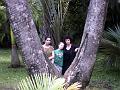 21a - Jardin Tropical 046